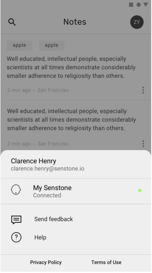 Senstone application screenshot 3